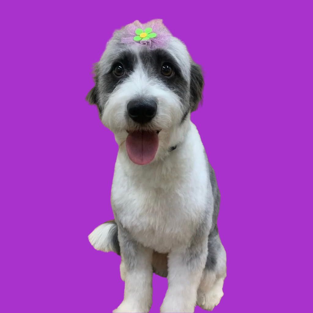 Flower Bows