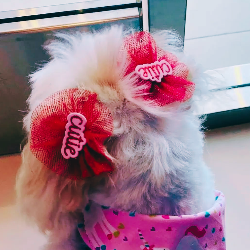 Cutie Bows