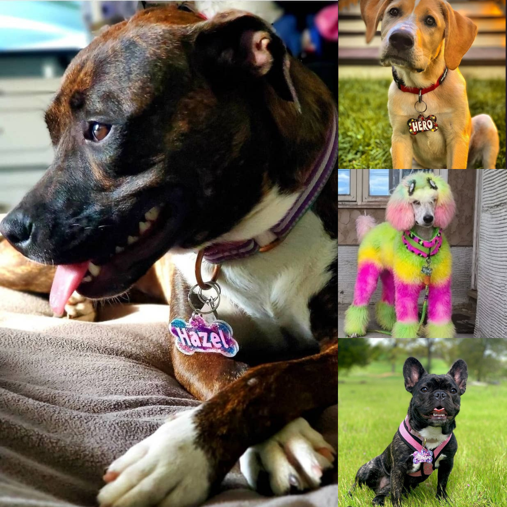 Custom Dog Tag