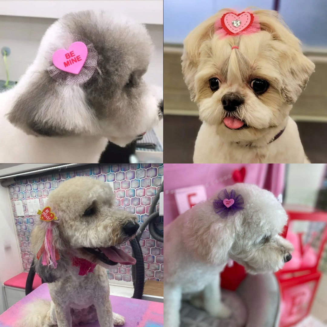 Valentine's Bows