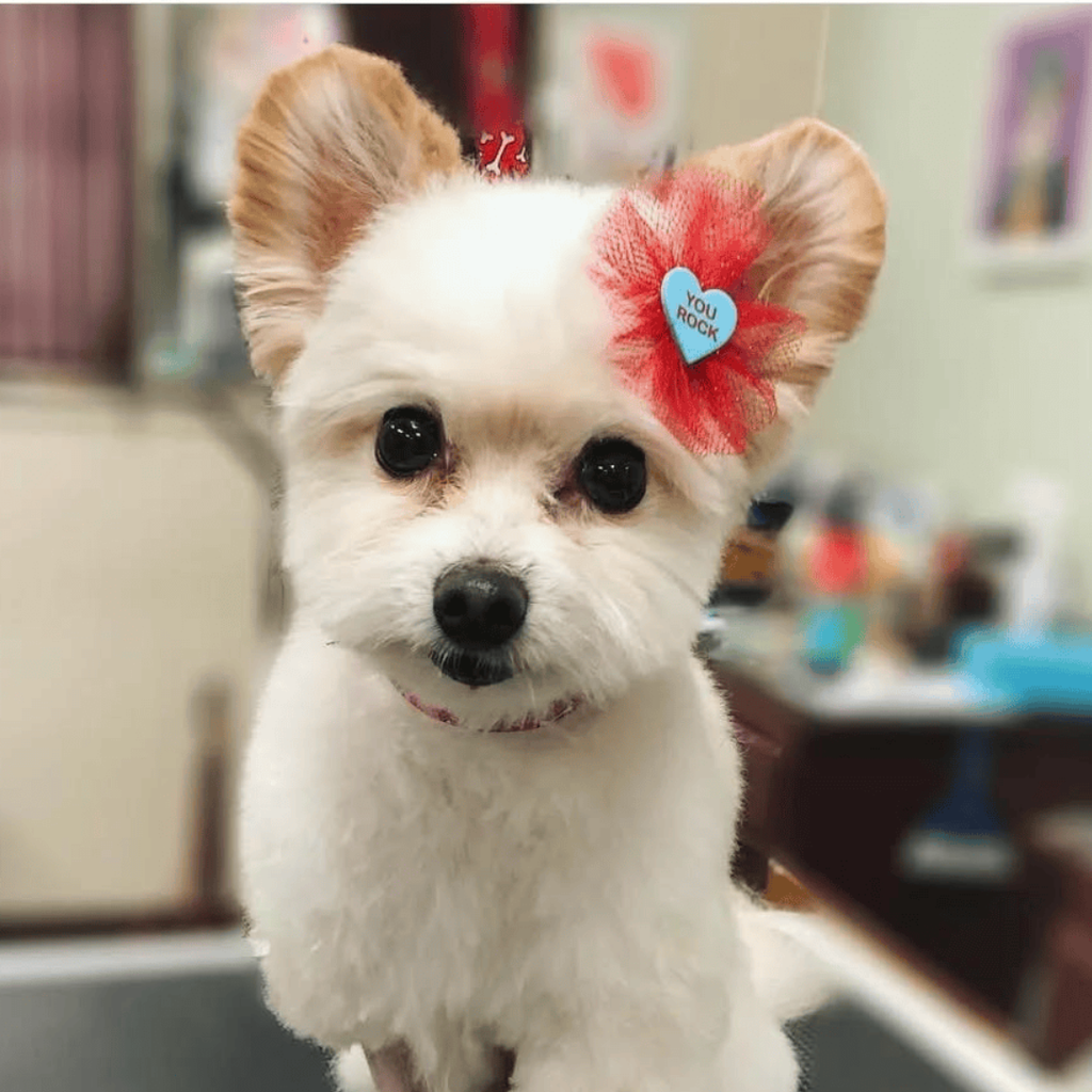 Candy Heart Bows