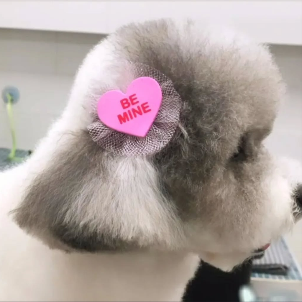 Candy Heart Bows