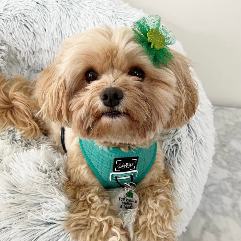 St. Patrick's Day Bows