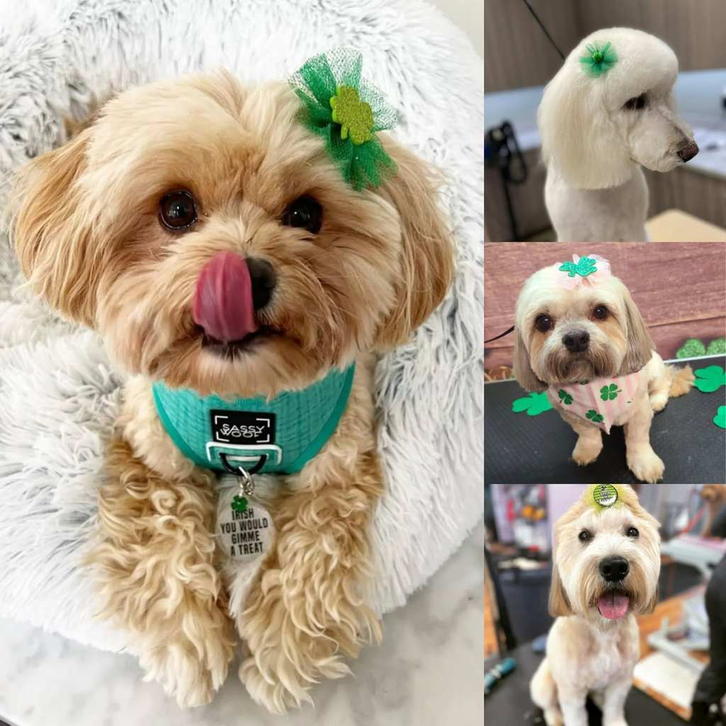 St. Patrick's Day Bows