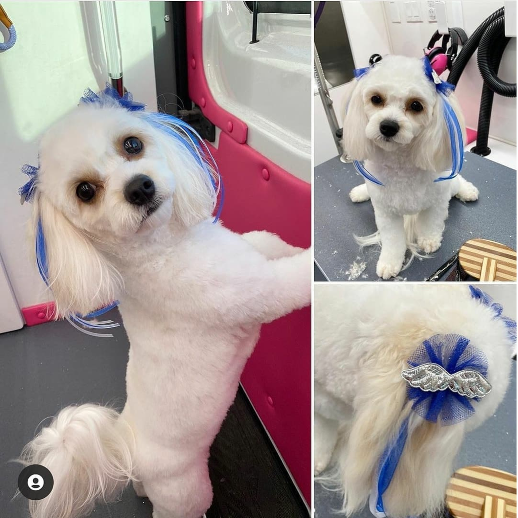 Hair Streamers