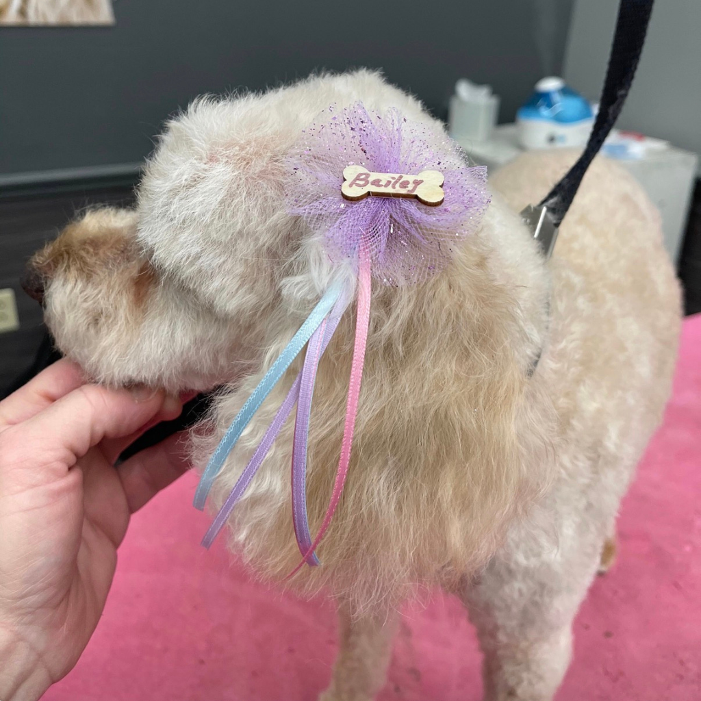 Hair Streamers