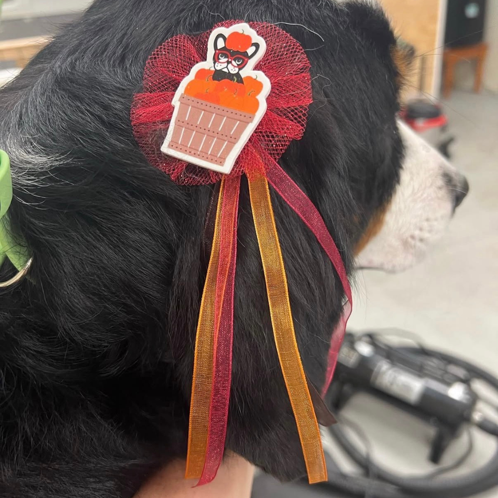 Hair Streamers