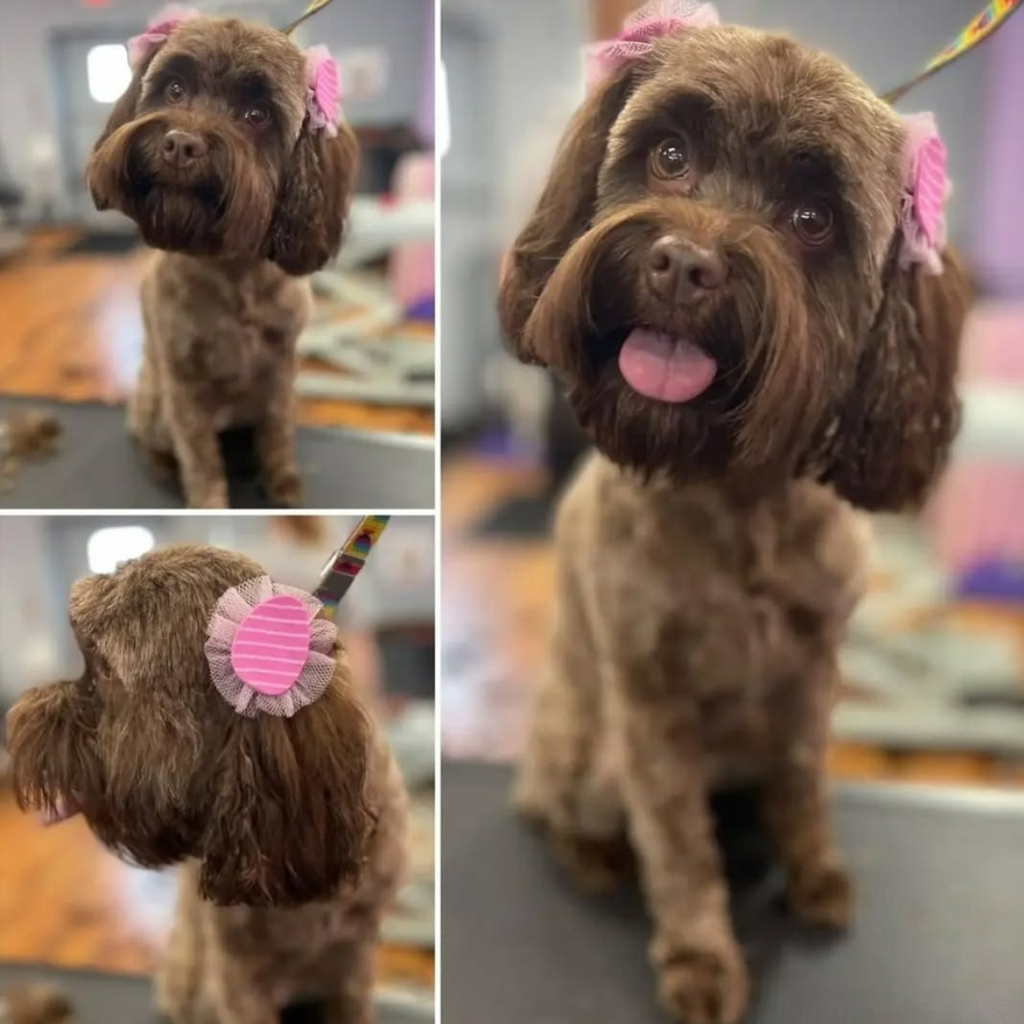 Easter Bows