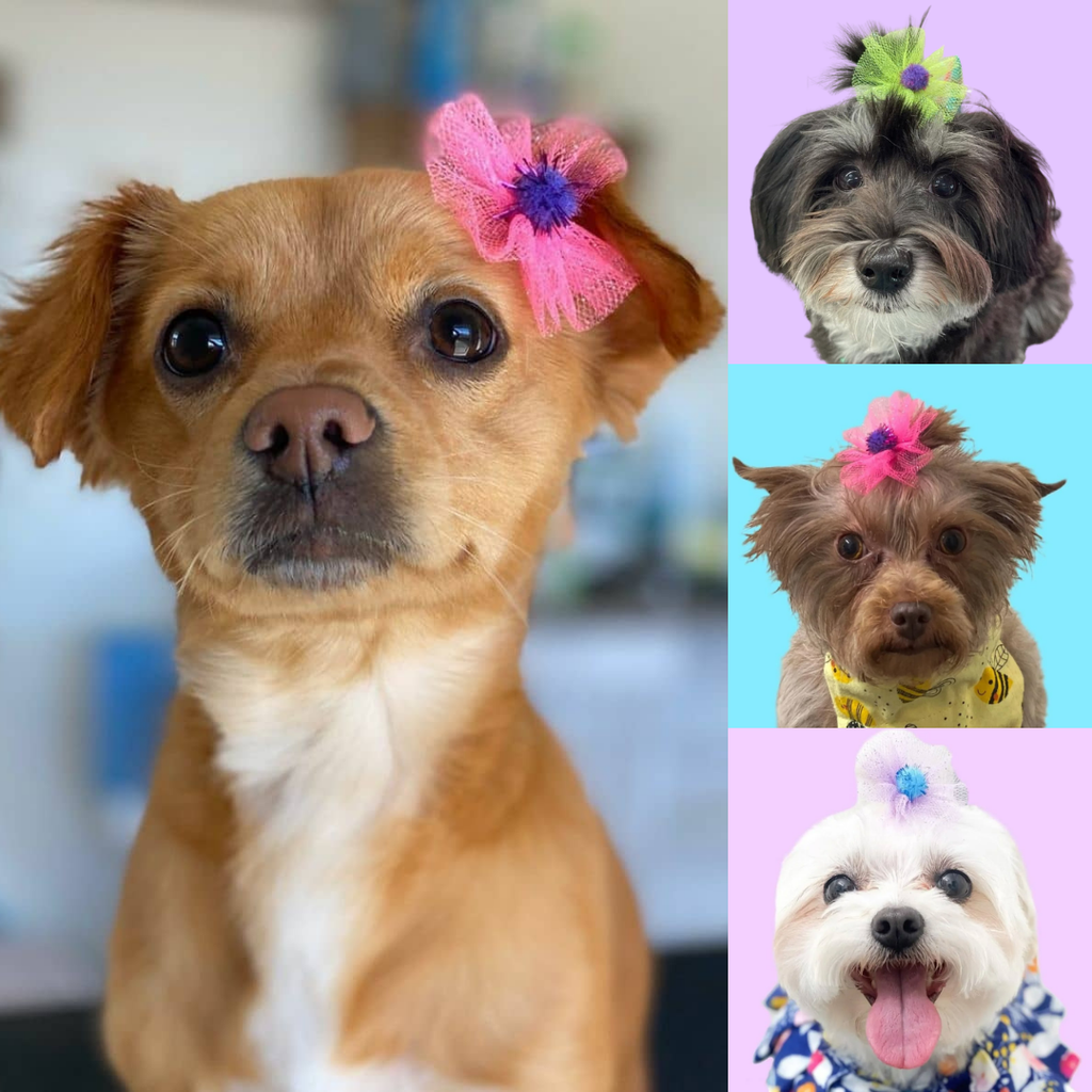 Pom Pom Bows