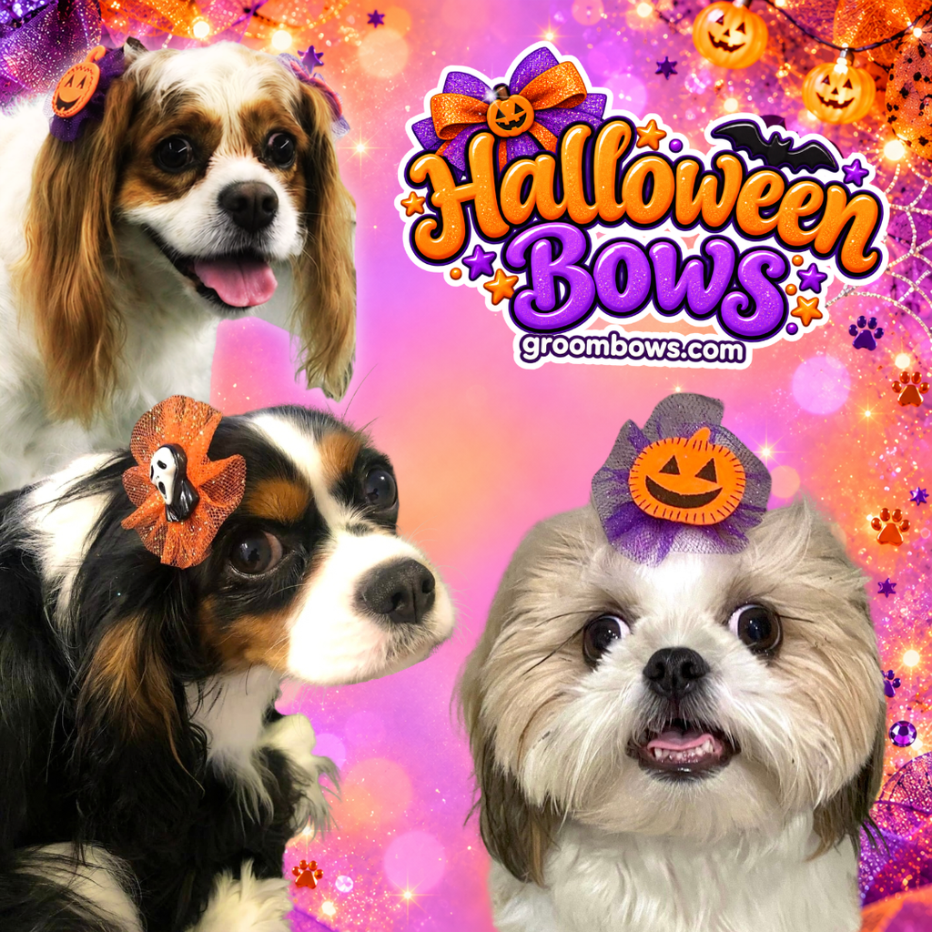 Halloween Bows