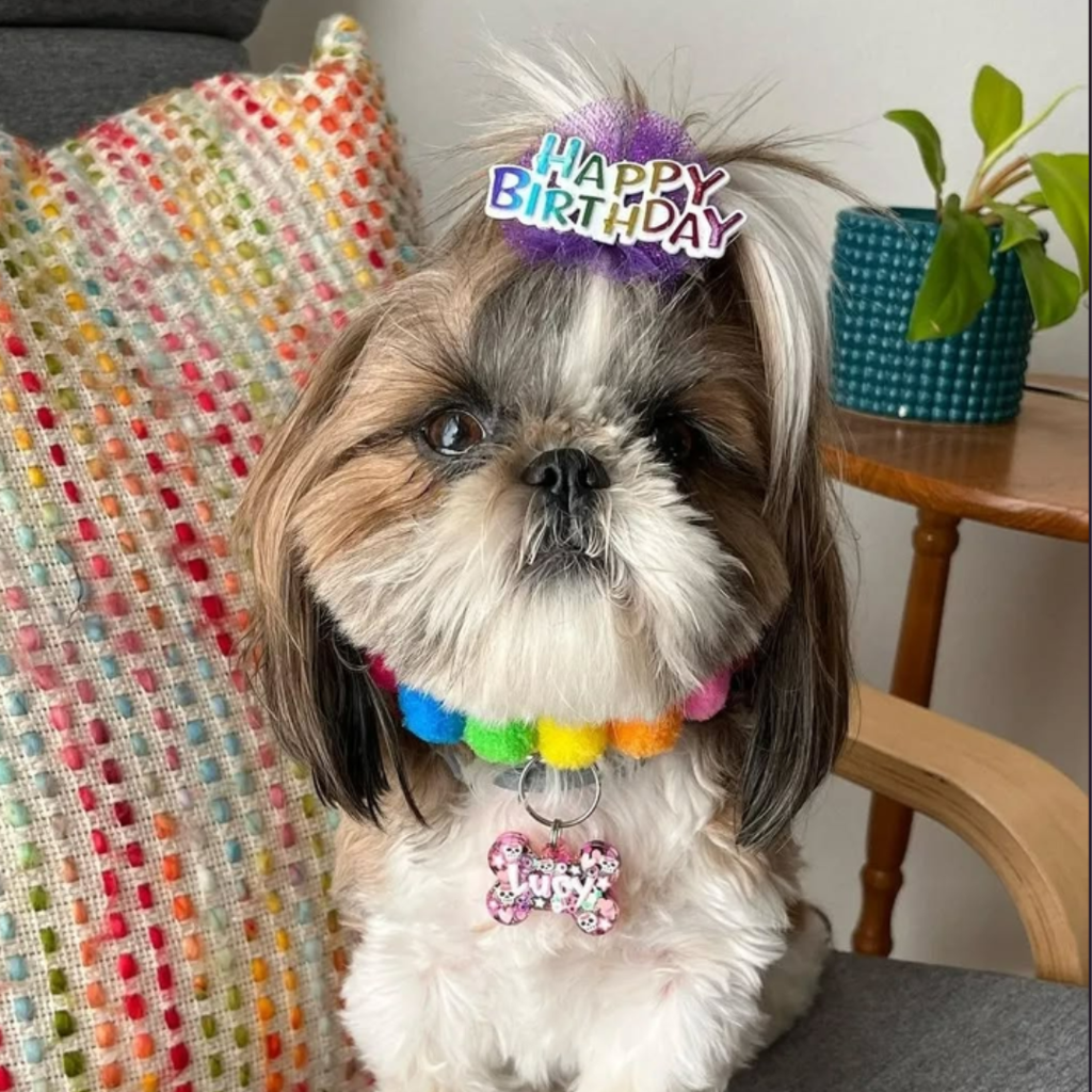 Birthday Bows