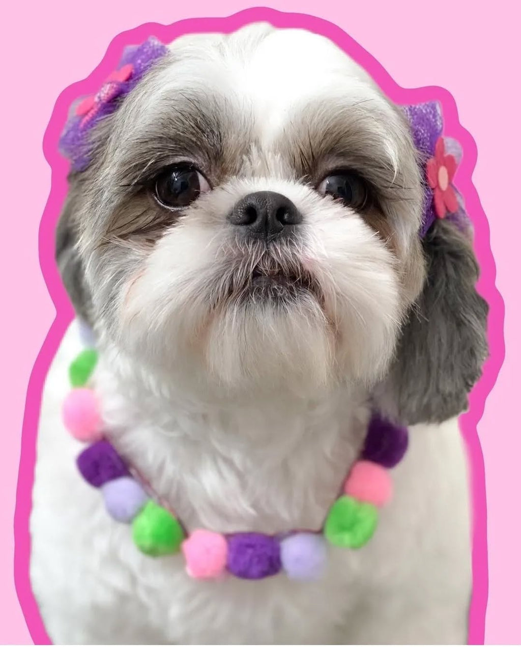Pom Pom Collar