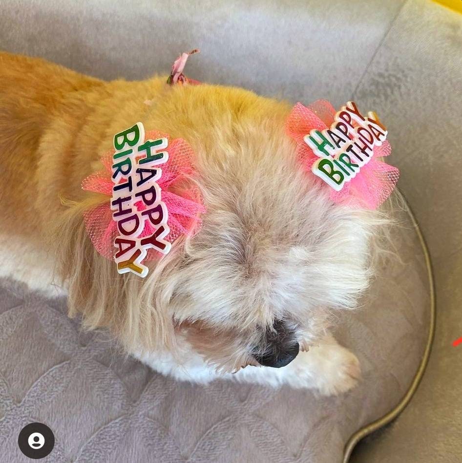 Birthday Bows