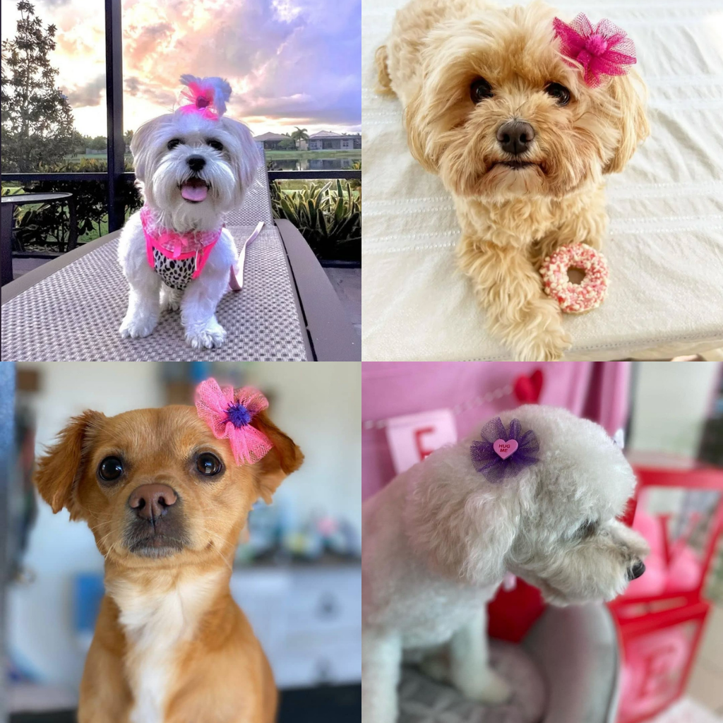 Mystery Bows