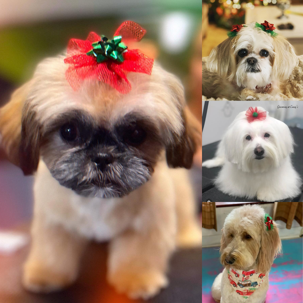 Christmas Bows