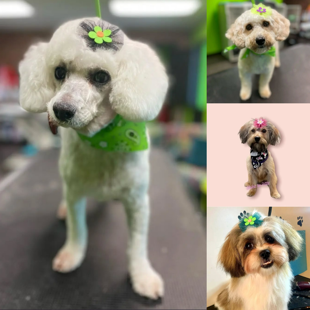 Flower Bows