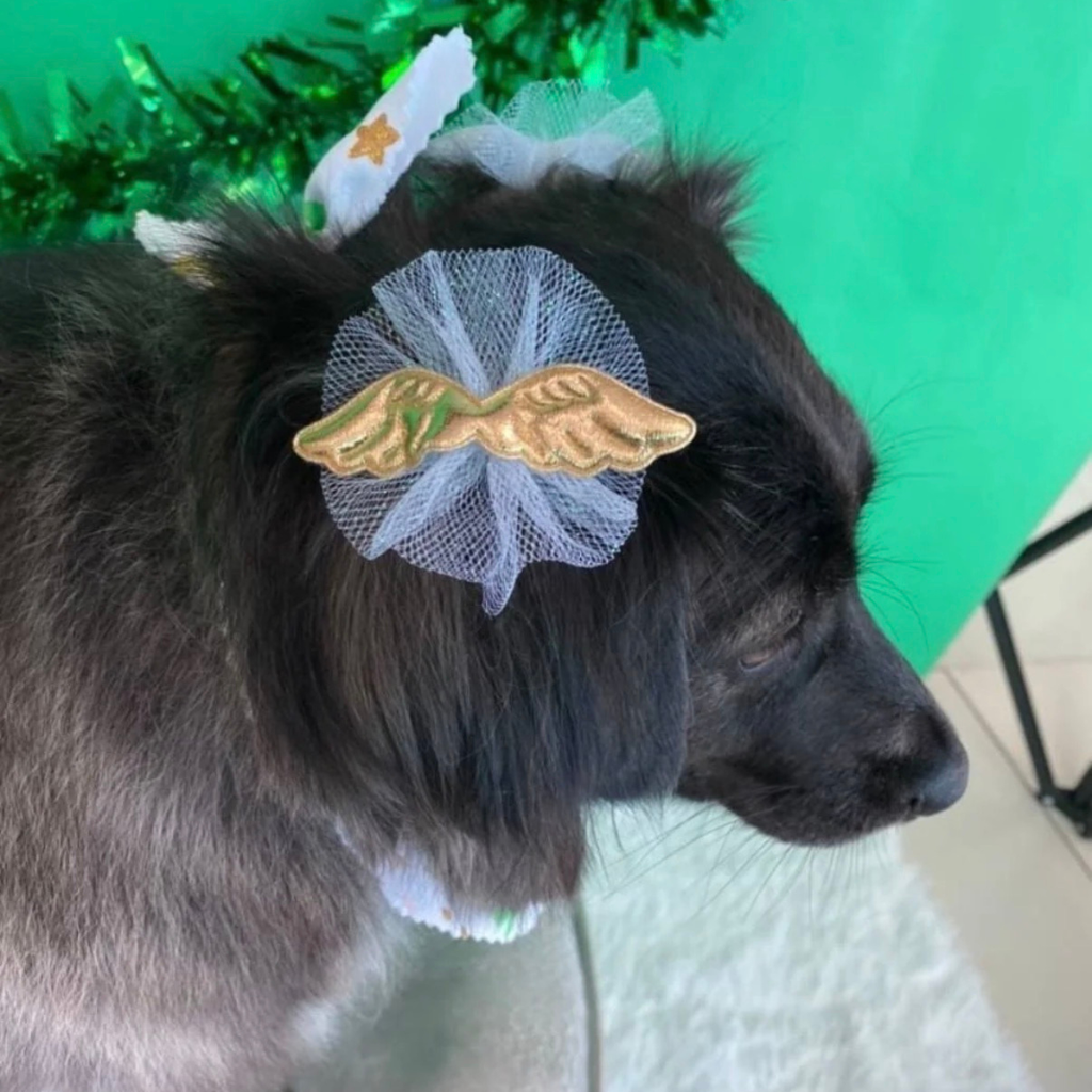 Angel Wing Bows