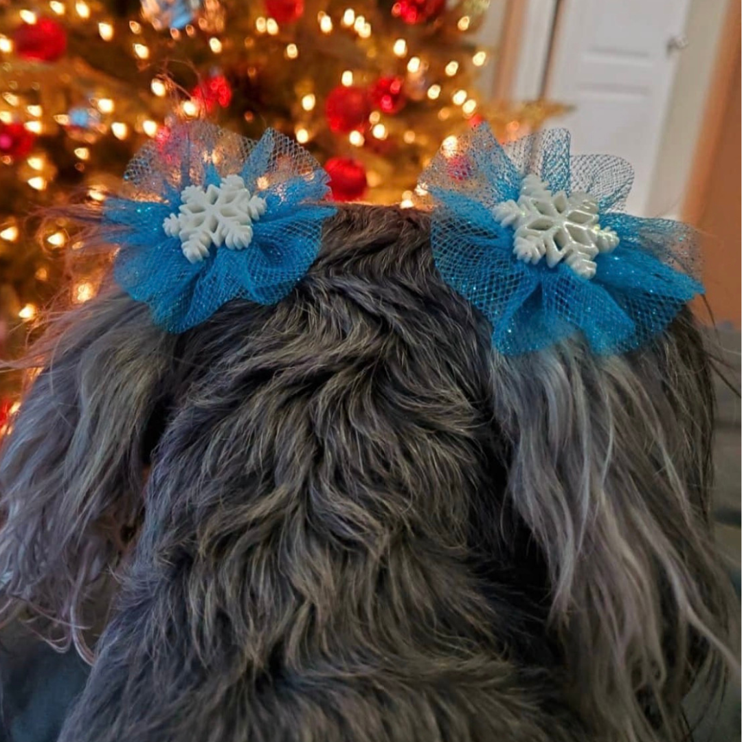 Winter Bows