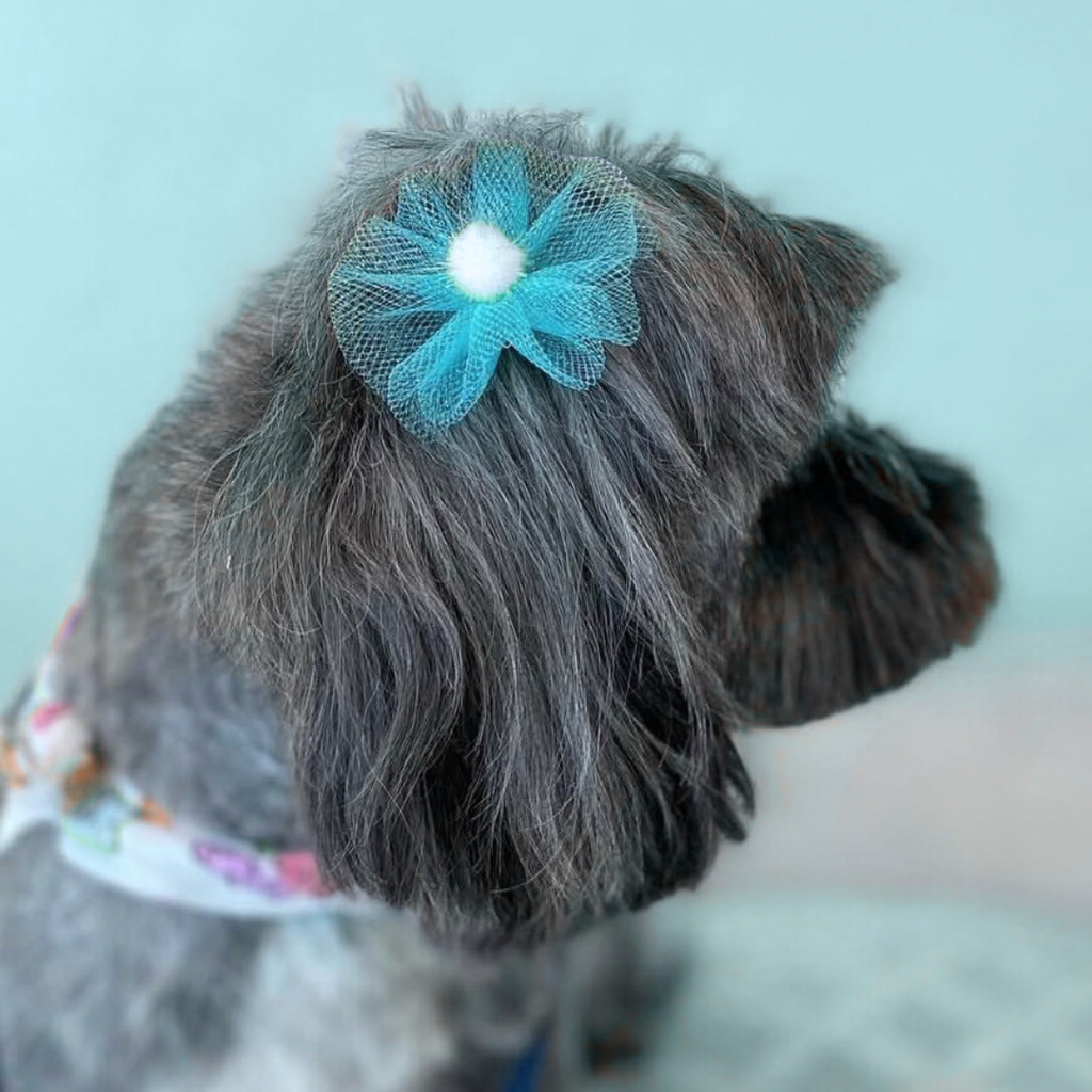 Winter Bows