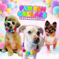 Pom Pom Collar
