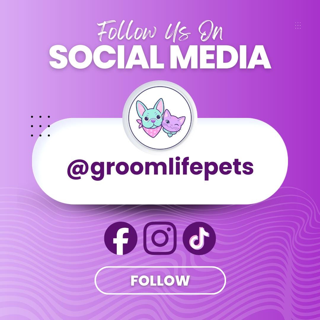 American Patriotic Bows