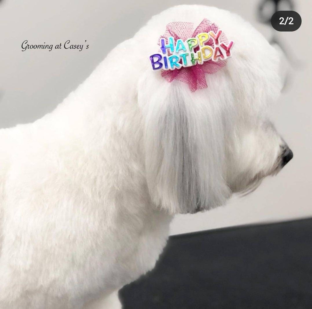 Birthday Bows