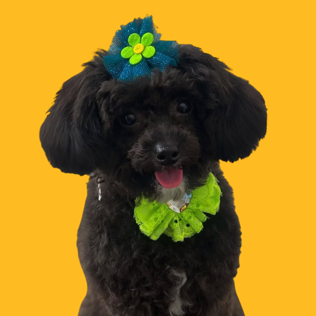 Flower Bows