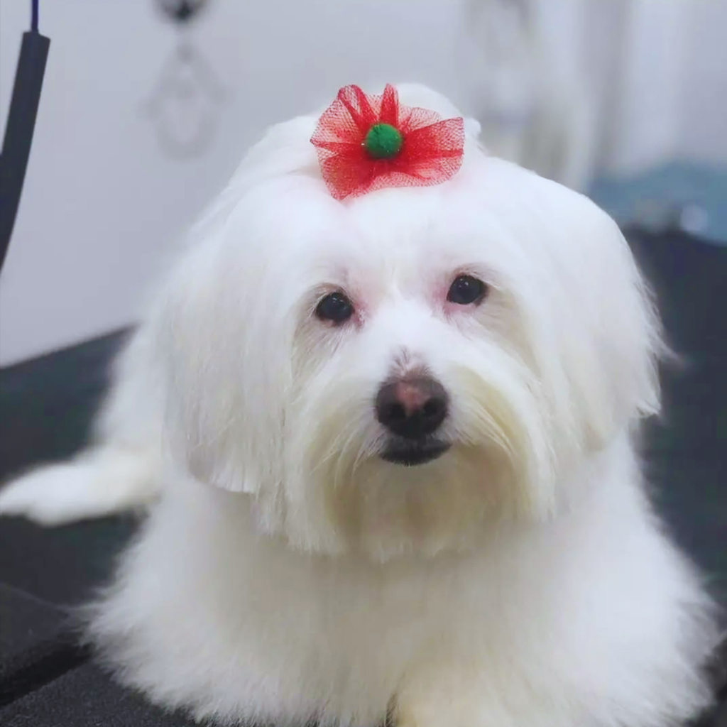 Christmas Pom Bows