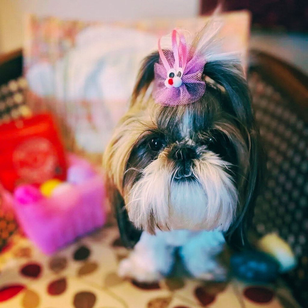Easter Bows